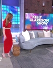 Filename=The_Kelly_Clarkson_Show_mkv1514.jpg
Filesize=534KiB
Dimensions=1280x720
Date added=Jun 22, 2025 The_Kelly_Clarkson_Show_mkv1514.jpg