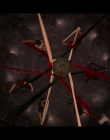 Chilling_Adventures_Of_Sabrina_S02E03_mkv7264.jpg