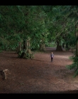 Fate_The_Winx_Saga_S01E01_mkv1469.jpg