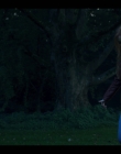 Fate_The_Winx_Saga_S01E04_mkv1932.jpg