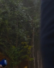 FTWSs2e3e0000033.jpg